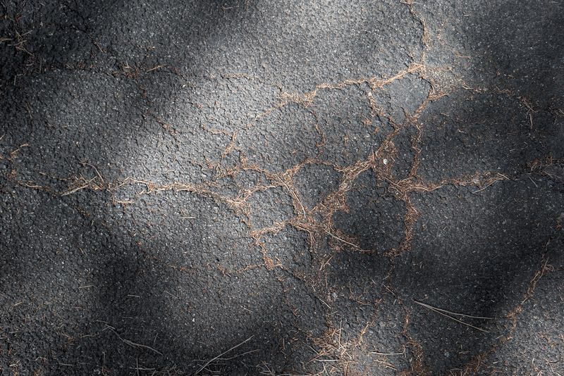 © Claudia Borgia - Image from the Neutral canvas photography project