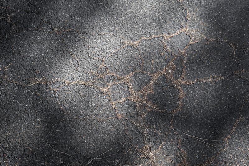 © Claudia Borgia - Image from the Neutral canvas photography project
