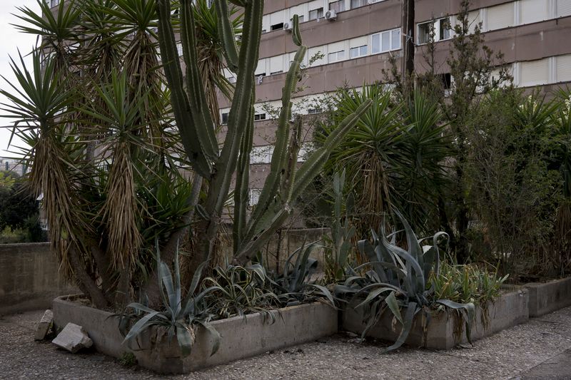 © Claudia Borgia - Laurentino planters, conceived with the same strict geometry as the buildings and bridges that define the area.