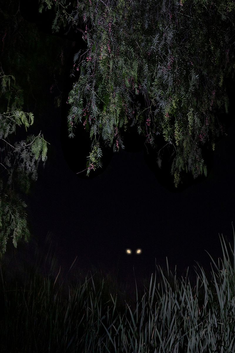 © Eleana Konstantellos André - Image from the Chupacabras photography project