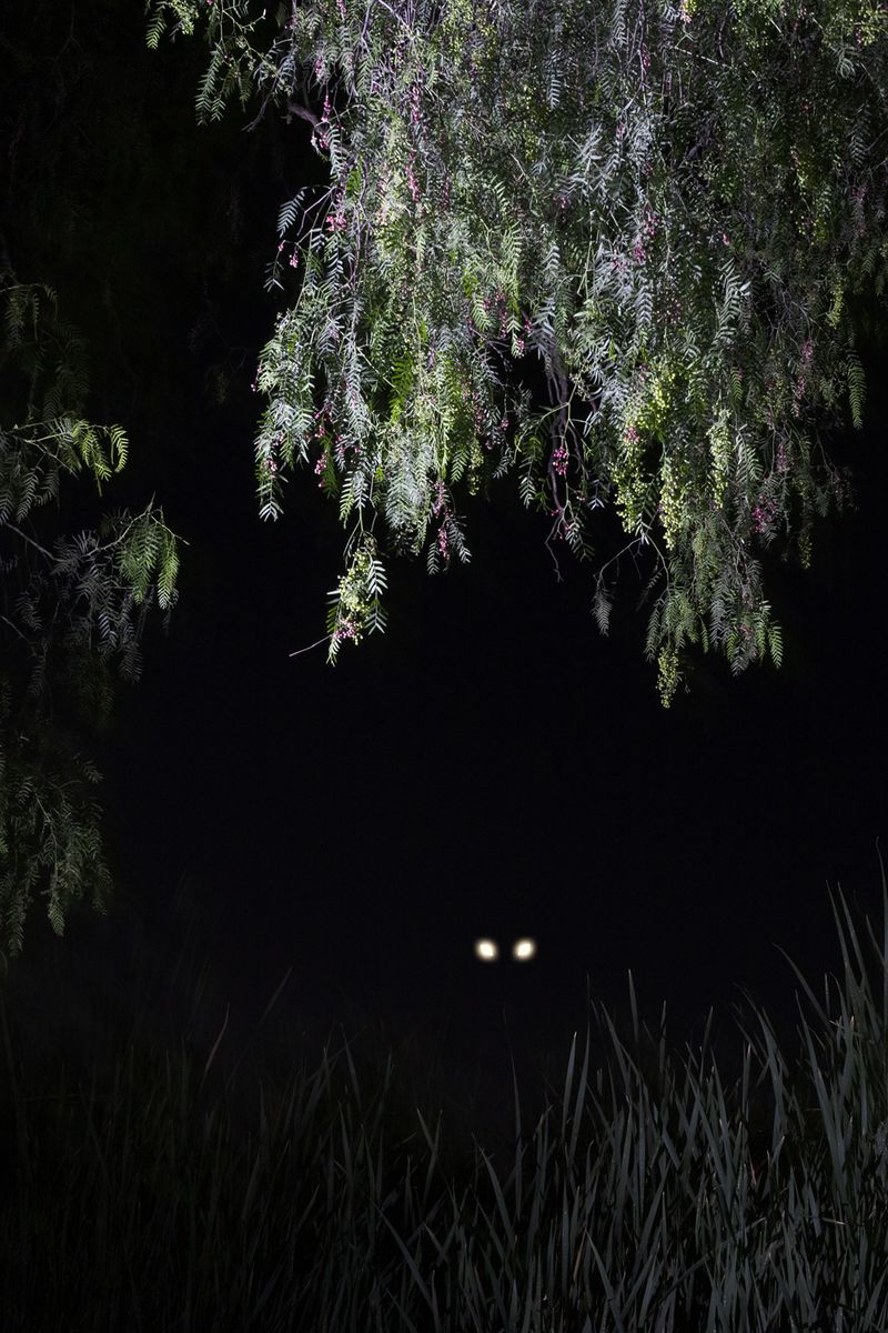 © Eleana Konstantellos André - Image from the The chupacabras who takes the sins away photography project