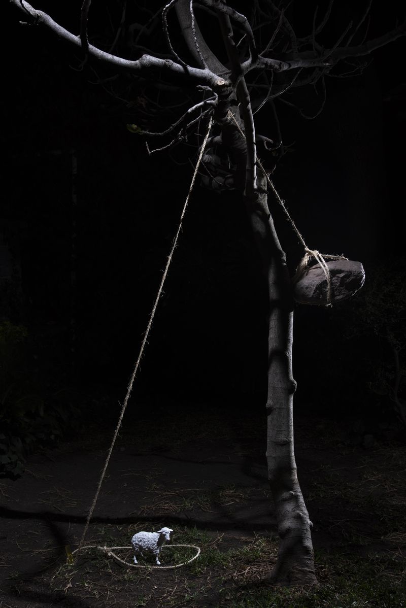 © Eleana Konstantellos André - The trap was placed in order to catch the beast. The Chupacabra was never caught on camera.