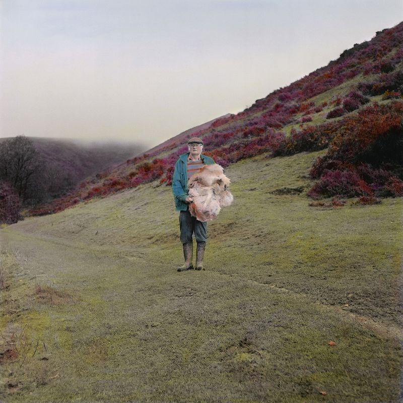 © Leah Gordon - Rights to pasturage, Long Mynd