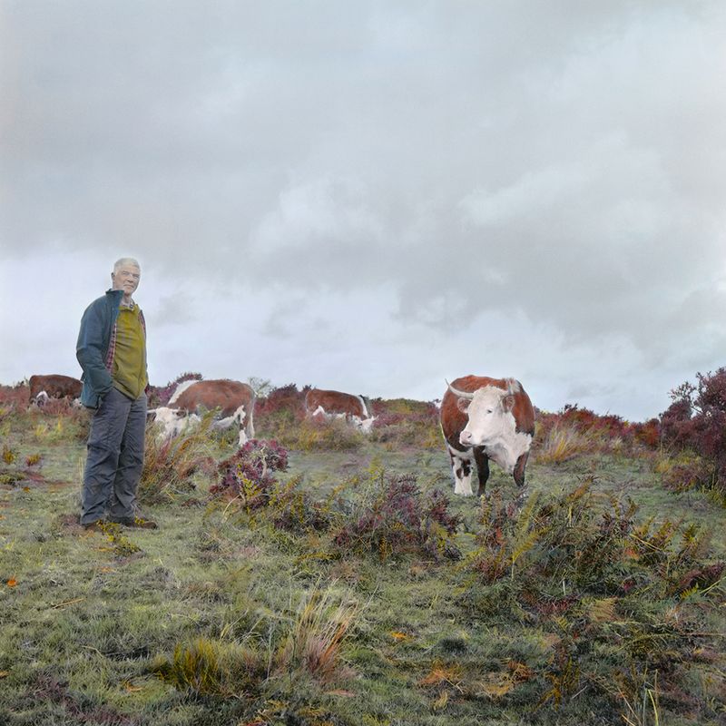 © Leah Gordon - Rights to graze cattle, Rhos Fiddle
