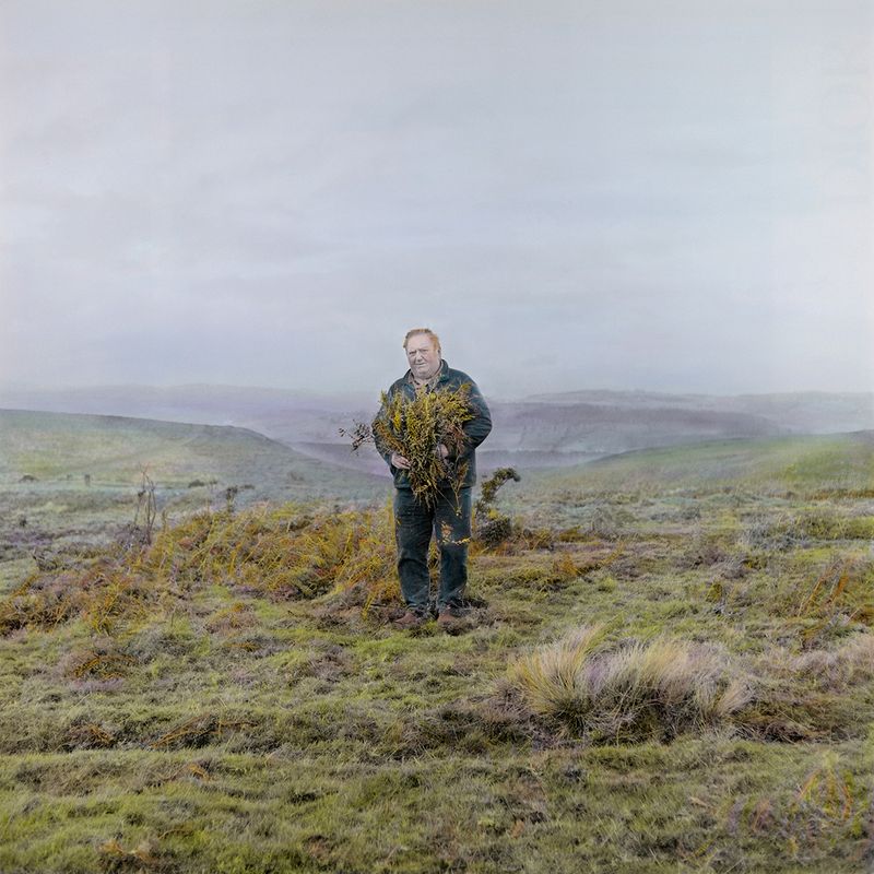 © Leah Gordon - Rights to estovers (bracken), Stapeley Common