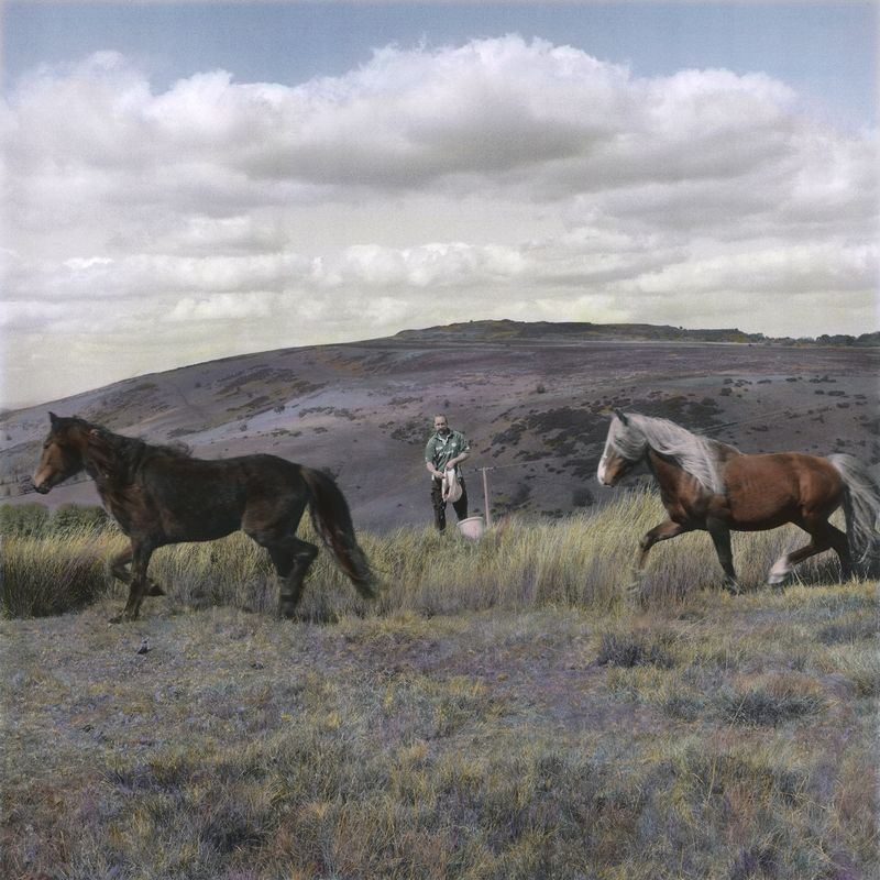 © Leah Gordon - John Heighway, Clee LibertyRights: Grazing sheep, cattle and horses (2022)
