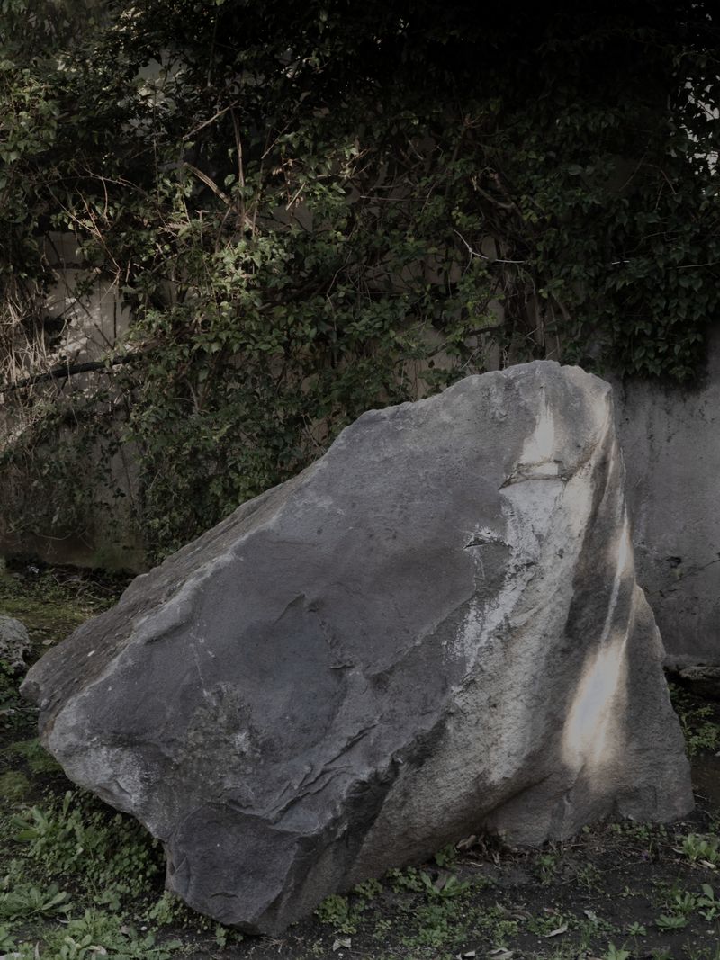 © Manuela Naddeo - Image from the scòtoma (or the impossibility of leaving) photography project