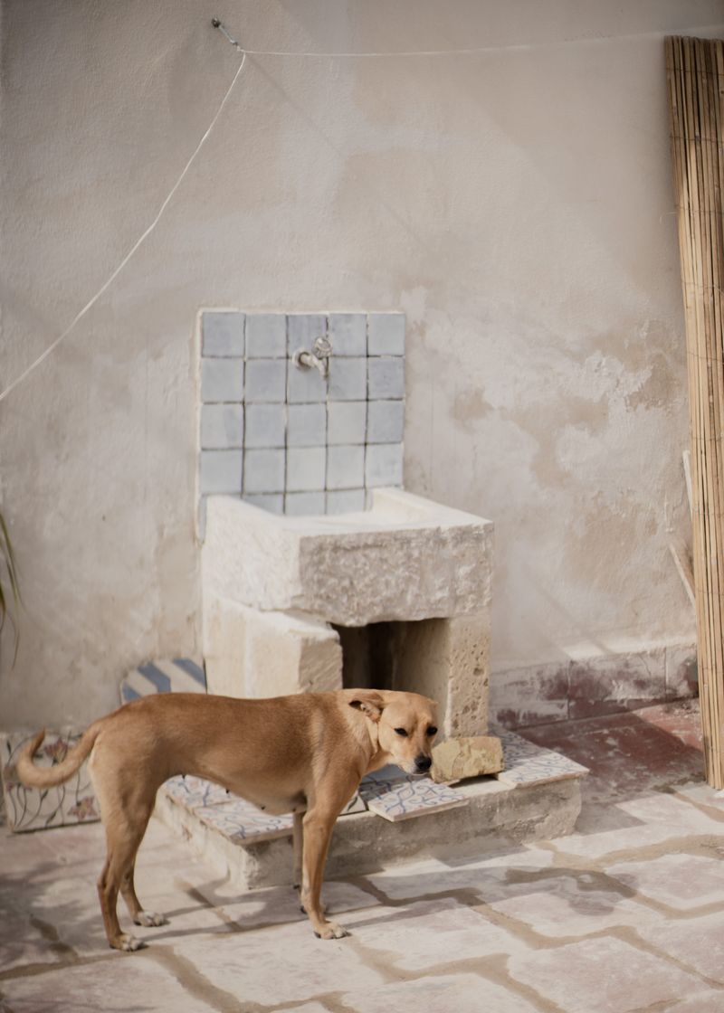 © Manuela Naddeo - Image from the scòtoma (or the impossibility of leaving) photography project