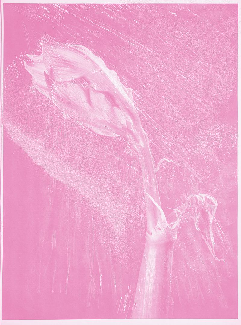 © mauren brodbeck - Fragment 02, 2021 Interplay, Enmeshment, and Matter