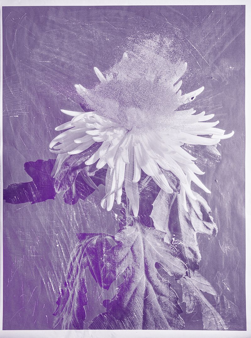 © mauren brodbeck - Anima 01, 2021 Interplay, Enmeshment, and Matter