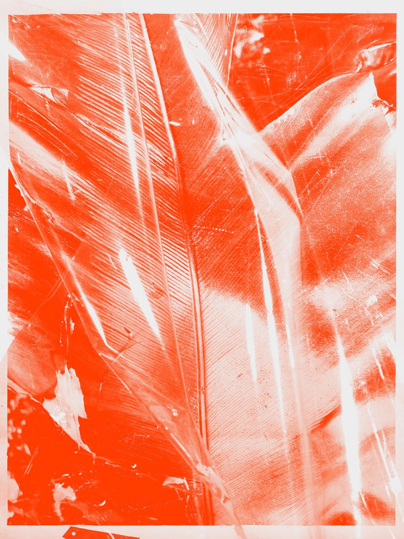 © mauren brodbeck - Involution 01, 2020 Interplay, Enmeshment, and Matter