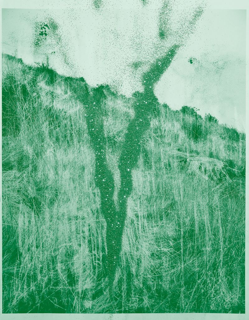 © mauren brodbeck - Discomposure 03, 2020 Interplay, Enmeshment, and Matter