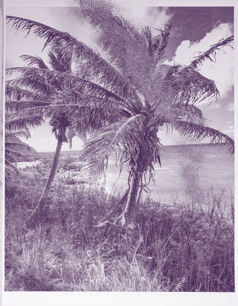 © mauren brodbeck - Activity 02, 2020 Interplay, Enmeshment, and Matter