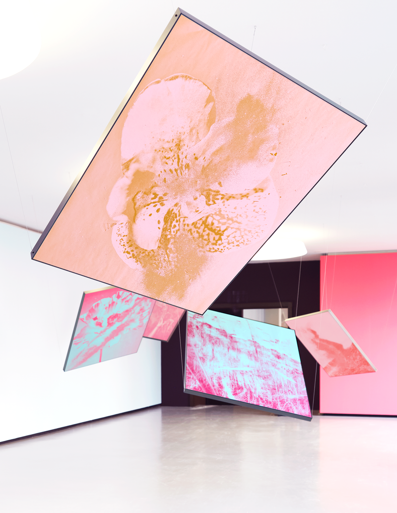 © mauren brodbeck - Image from the Anima photography project