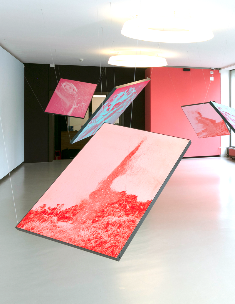 © mauren brodbeck - Image from the Anima photography project