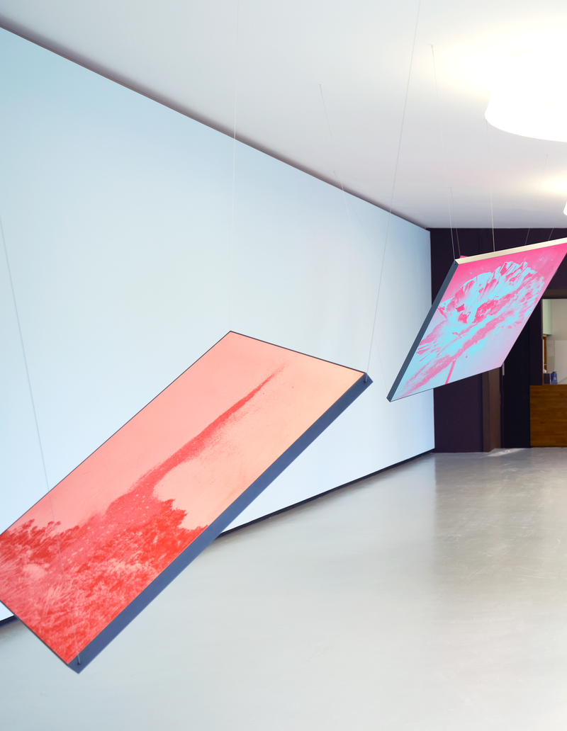 © mauren brodbeck - Image from the Anima photography project