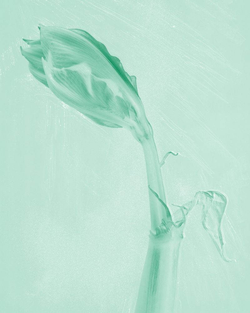 © mauren brodbeck - Muted Fragment, 2021 105.6 x 84.6 cm