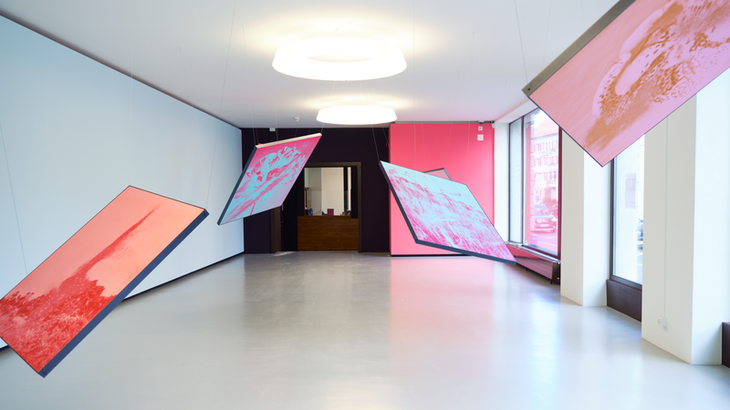 © mauren brodbeck - Image from the Anima photography project