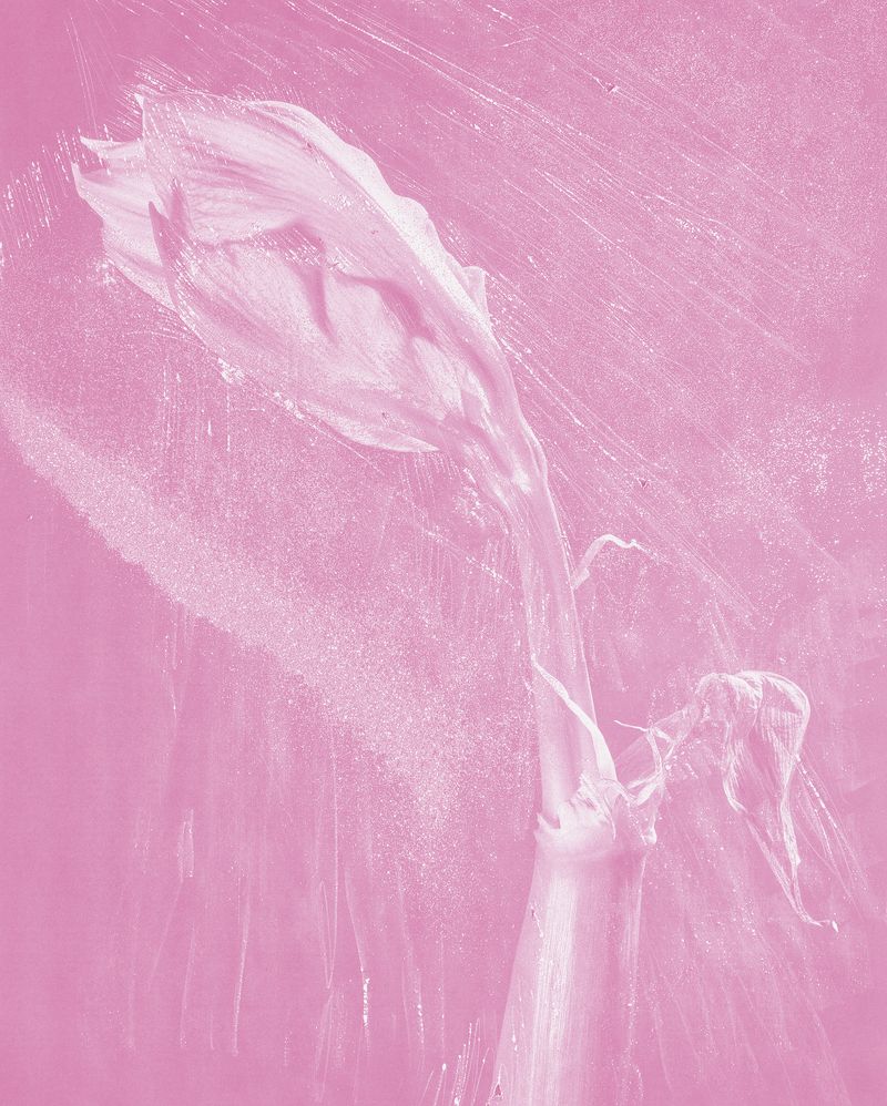 © mauren brodbeck - Fragment, 2021 105.6 x 84.6 cm