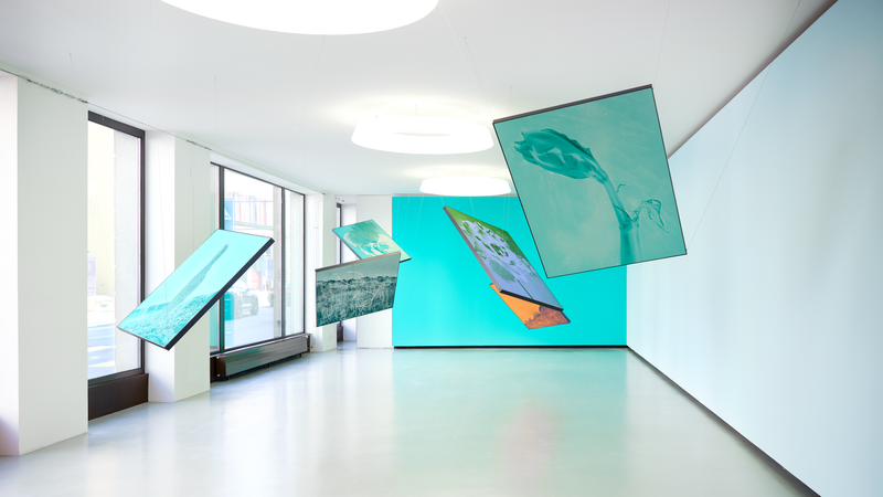 © mauren brodbeck - Image from the Anima photography project