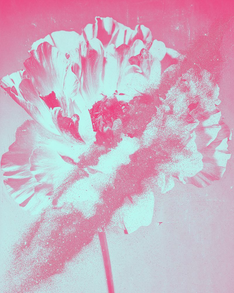 © mauren brodbeck - Anima Flora, 2021 126 x 101 cm