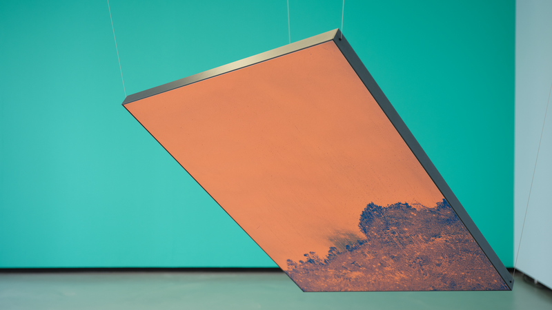 © mauren brodbeck - Image from the Anima photography project