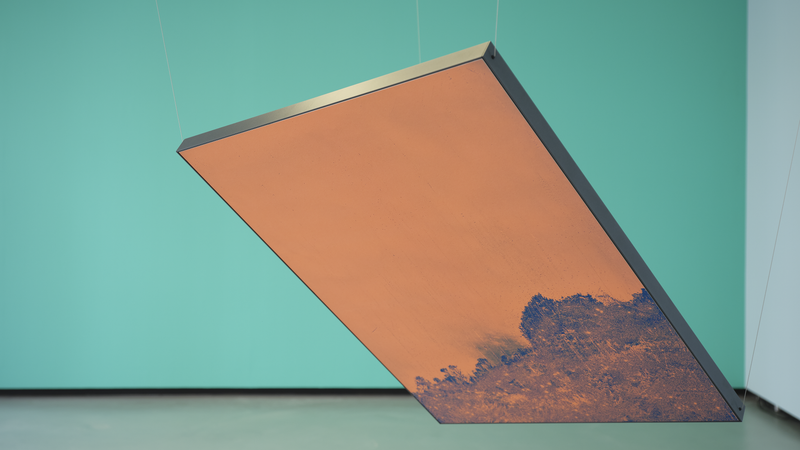 © mauren brodbeck - Image from the Anima photography project