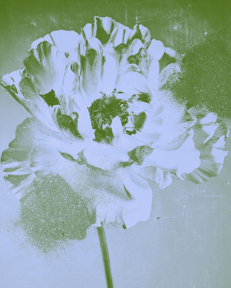 © mauren brodbeck - Anima Anima, 2021 126 x 101 cm