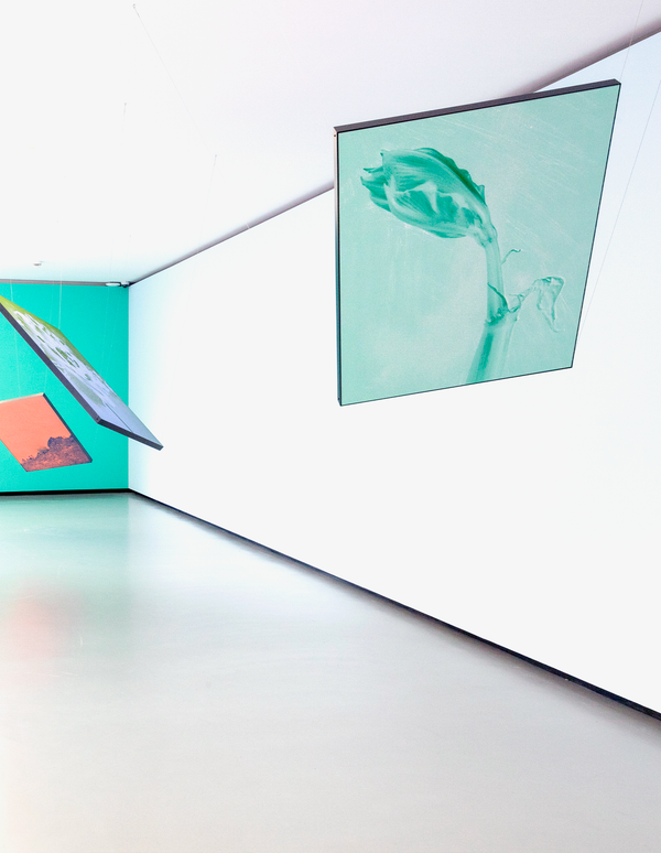 © mauren brodbeck - Image from the Anima photography project