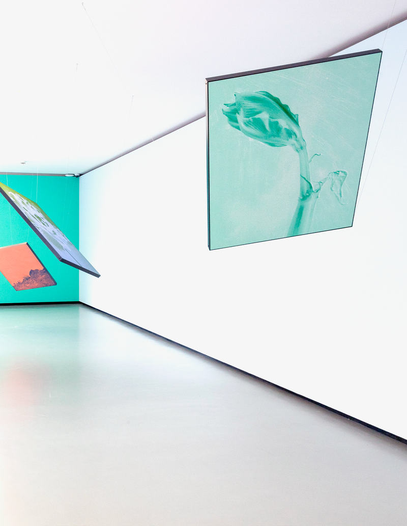 © mauren brodbeck - Image from the Anima photography project