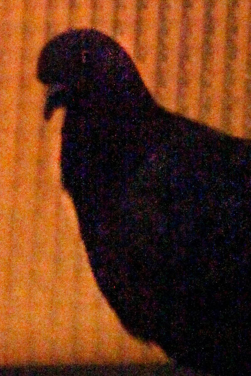 © Fosi Vegue - Image from the XY XX photography project