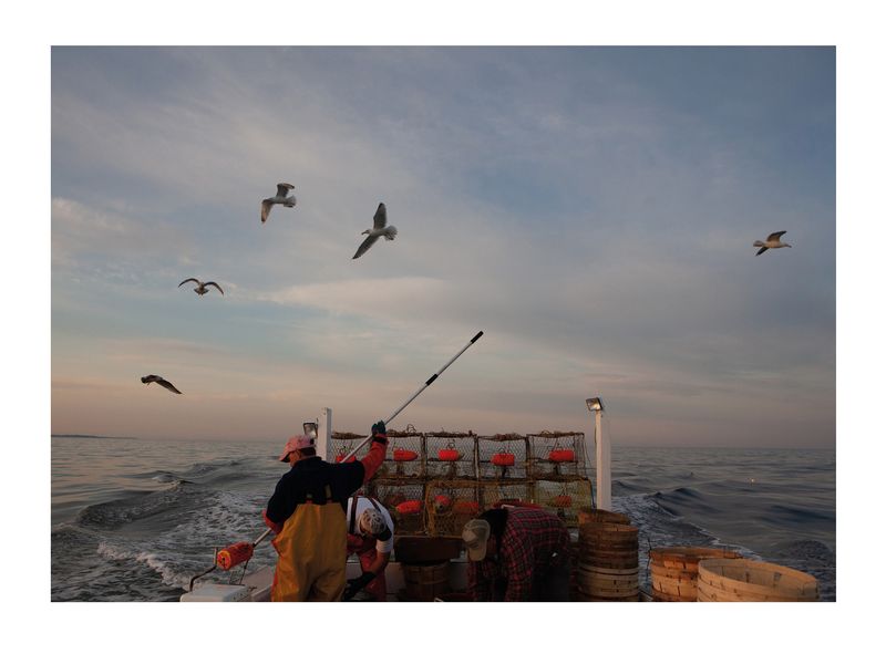 Image from a project on PhMuseum