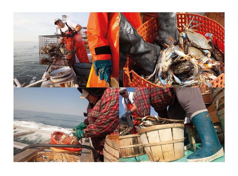 Image from a project on PhMuseum