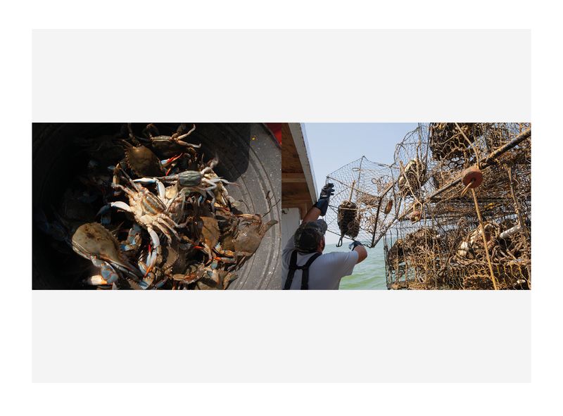 Image from a project on PhMuseum