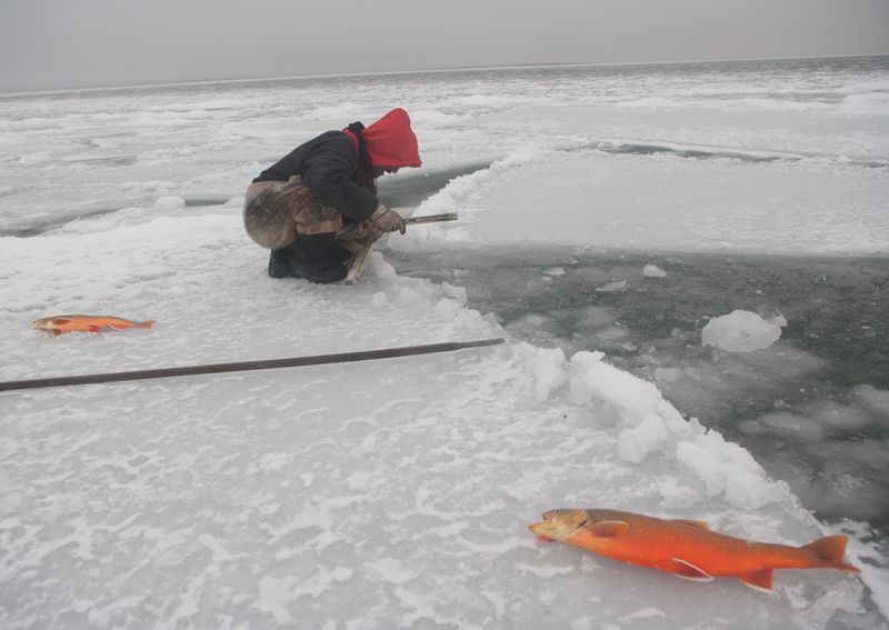 Image from a project on PhMuseum