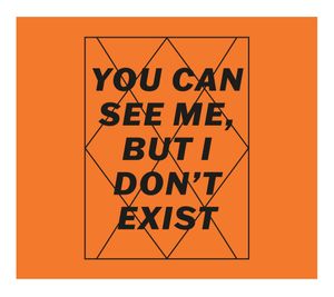 You Can See Me but I Do Not Exist
