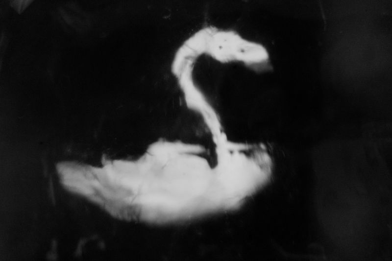 Image from a project on PhMuseum
