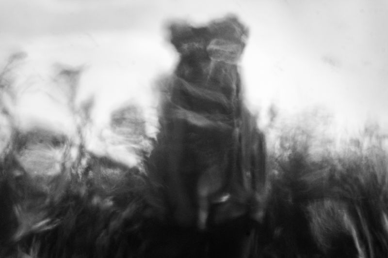 Image from a project on PhMuseum