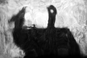Beyond the Shadows: Echoes of Plato's Cave