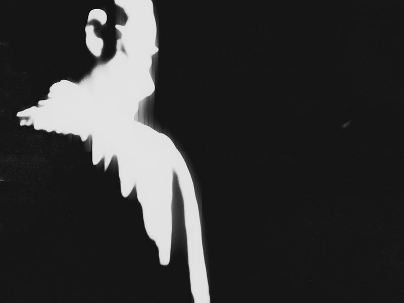 © Hajime Kimura - Image from the Mass/Remains photography project