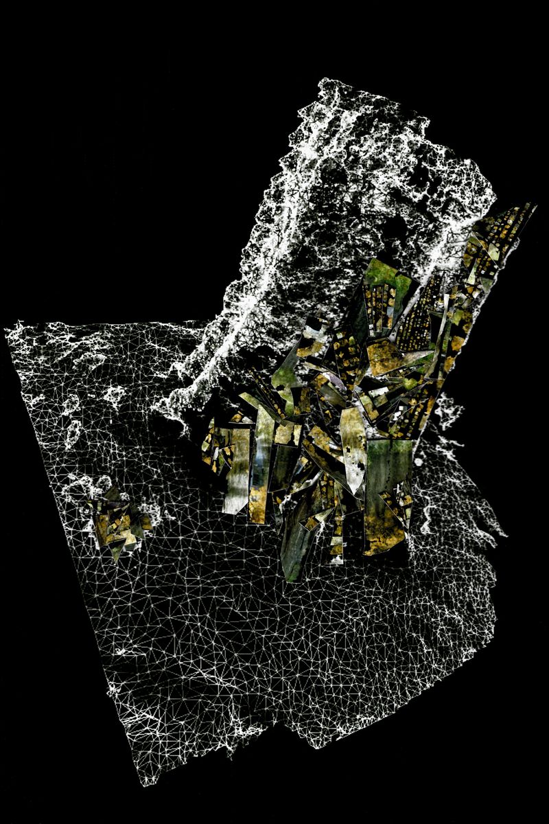 © Hajime Kimura - Image from the The Bluebird Perch photography project