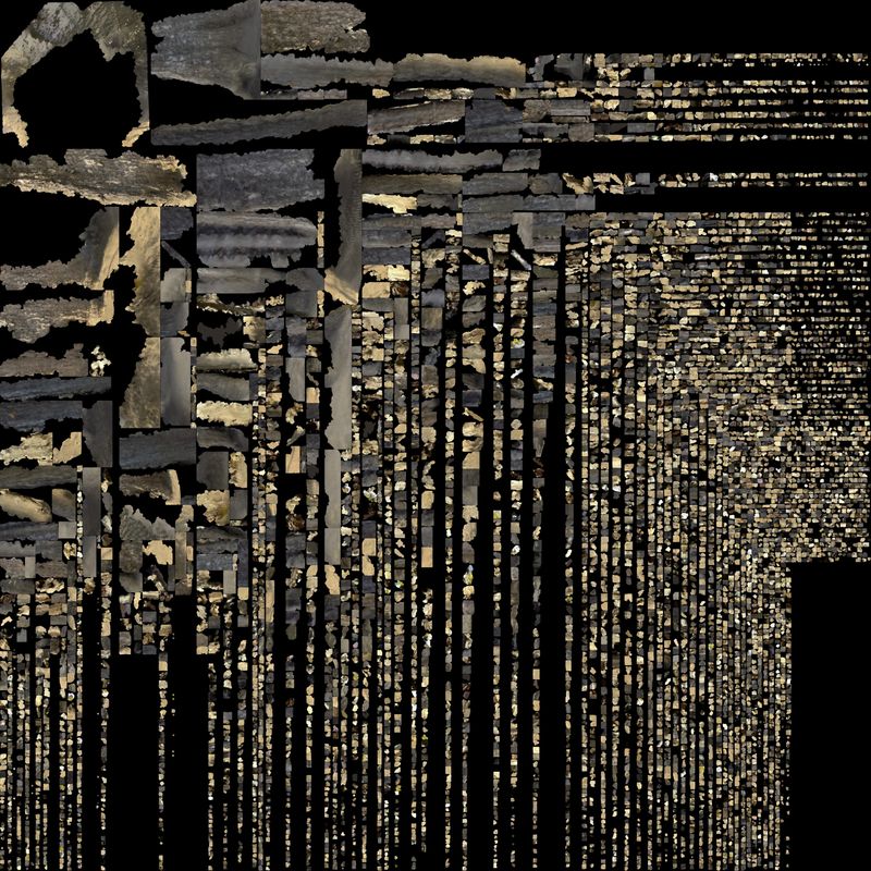 © Hajime Kimura - Image from the The Bluebird Perch photography project