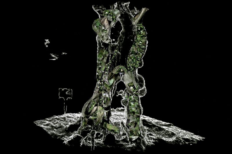 © Hajime Kimura - Image from the The Bluebird Perch photography project