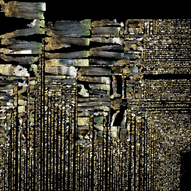 © Hajime Kimura - Image from the The Bluebird Perch photography project