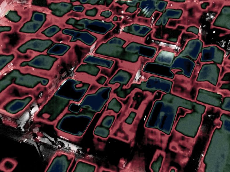 © Hajime Kimura - Image from the The Bluebird Perch photography project