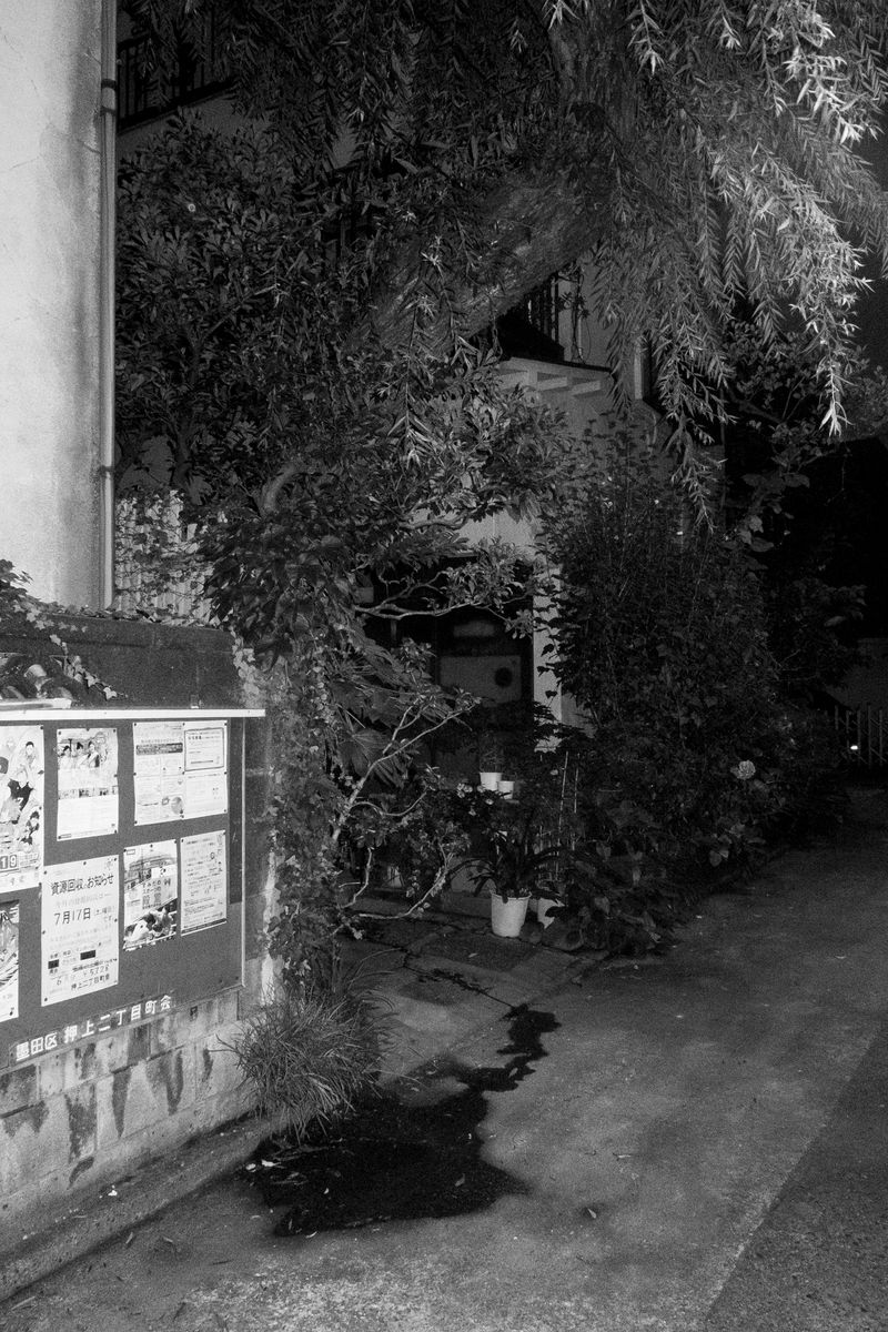 © Hajime Kimura - Image from the The Bluebird Perch photography project