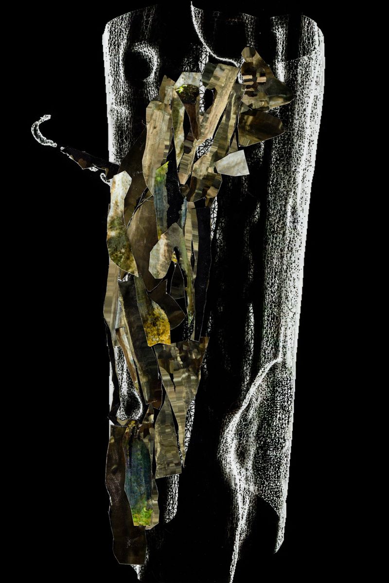 © Hajime Kimura - Image from the The Bluebird Perch photography project