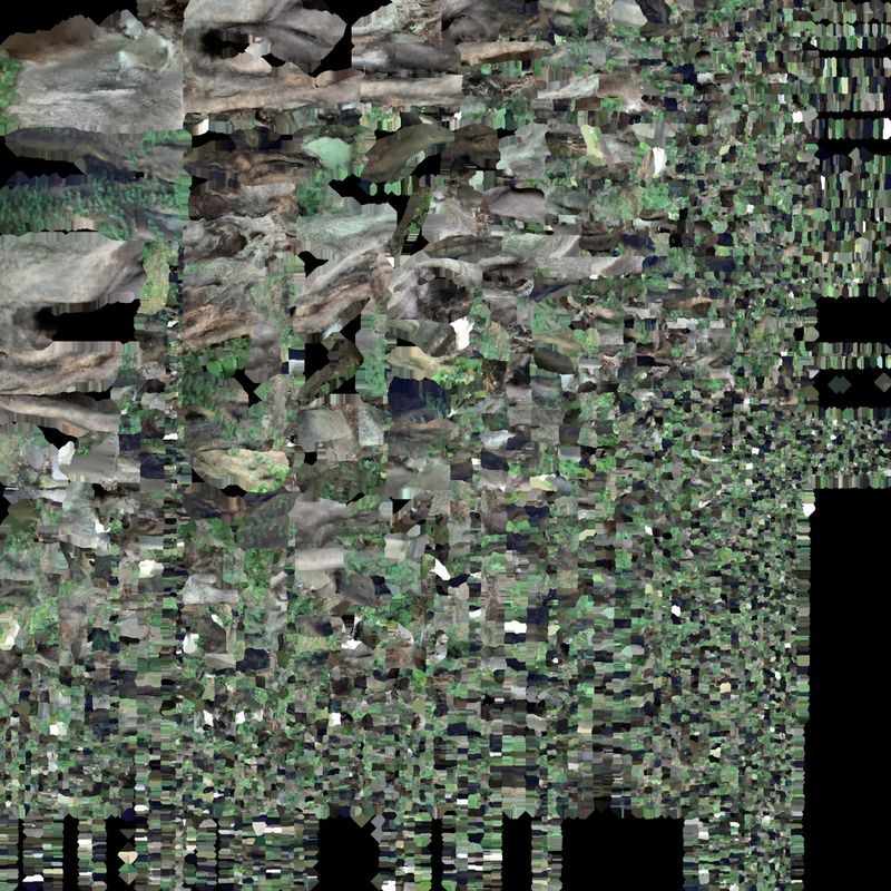 © Hajime Kimura - Image from the The Bluebird Perch photography project