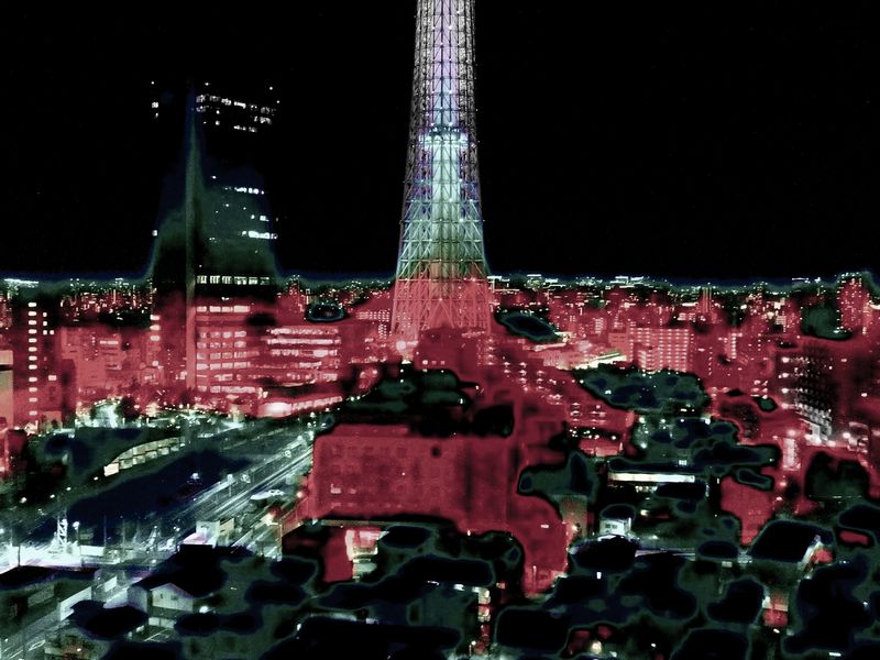 © Hajime Kimura - Image from the The Bluebird Perch photography project