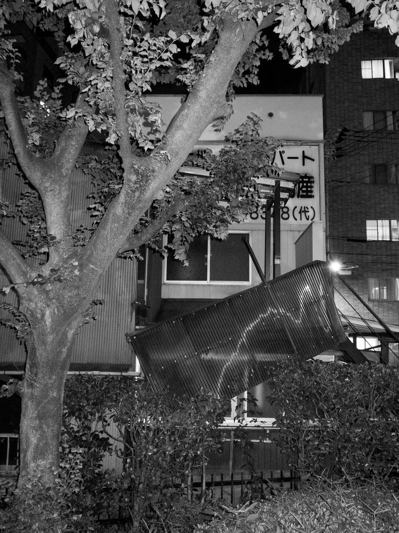 © Hajime Kimura - Image from the The Bluebird Perch photography project